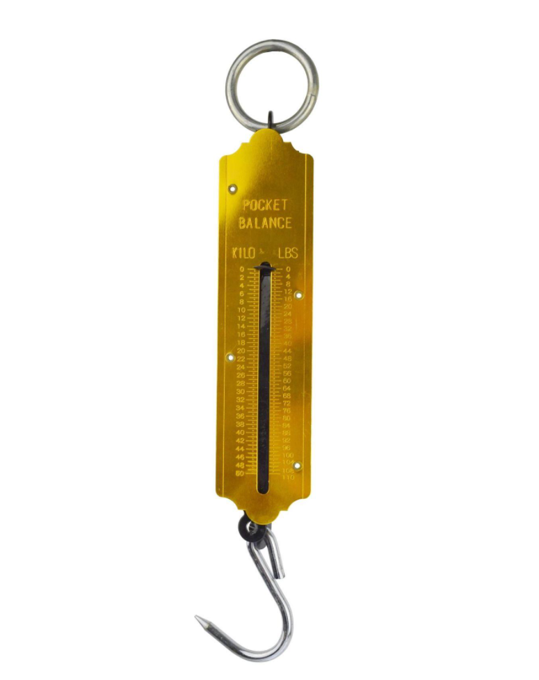 High Quality 50Kg Scale Pocket Balance Hanging Spring Balance Fishing Hook Scale Balance